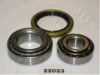 ASHIKA 44-22023 Wheel Bearing Kit